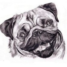 Схема вышивки «мопс подушка»