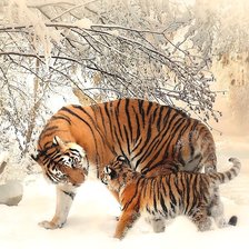 Схема вышивки «тигры»