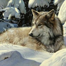 Схема вышивки «Волк»