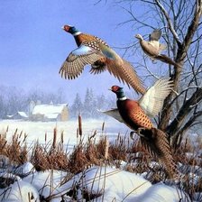 Схема вышивки «Pheasants»