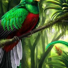 Схема вышивки «QUEPZAL»