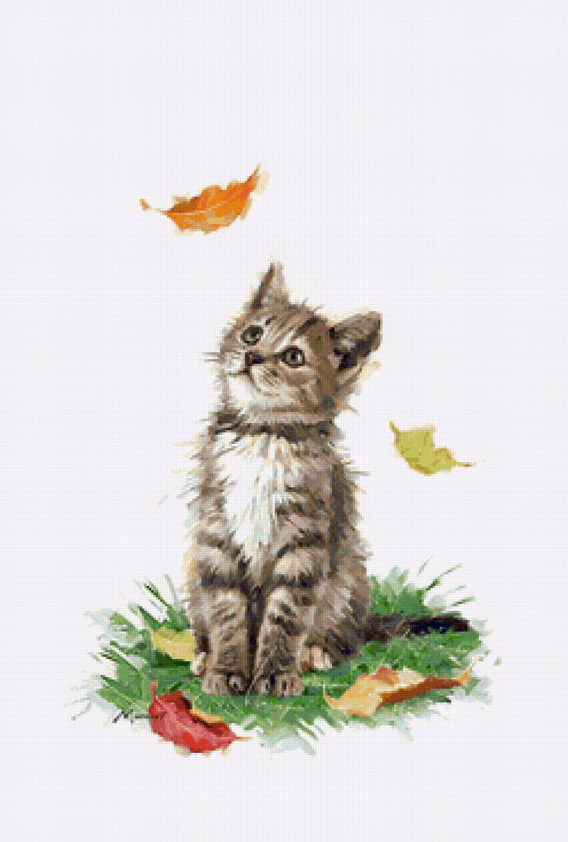 №2259194 - котик - предпросмотр