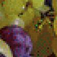 Предпросмотр схемы вышивки «Фрукты» (№2259894)