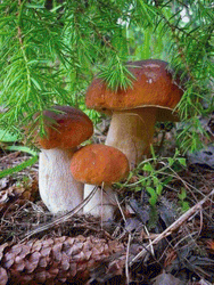 Дары осени - предпросмотр