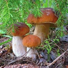 Схема вышивки «Дары осени»