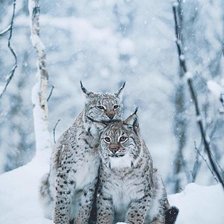 Схема вышивки «Зима»