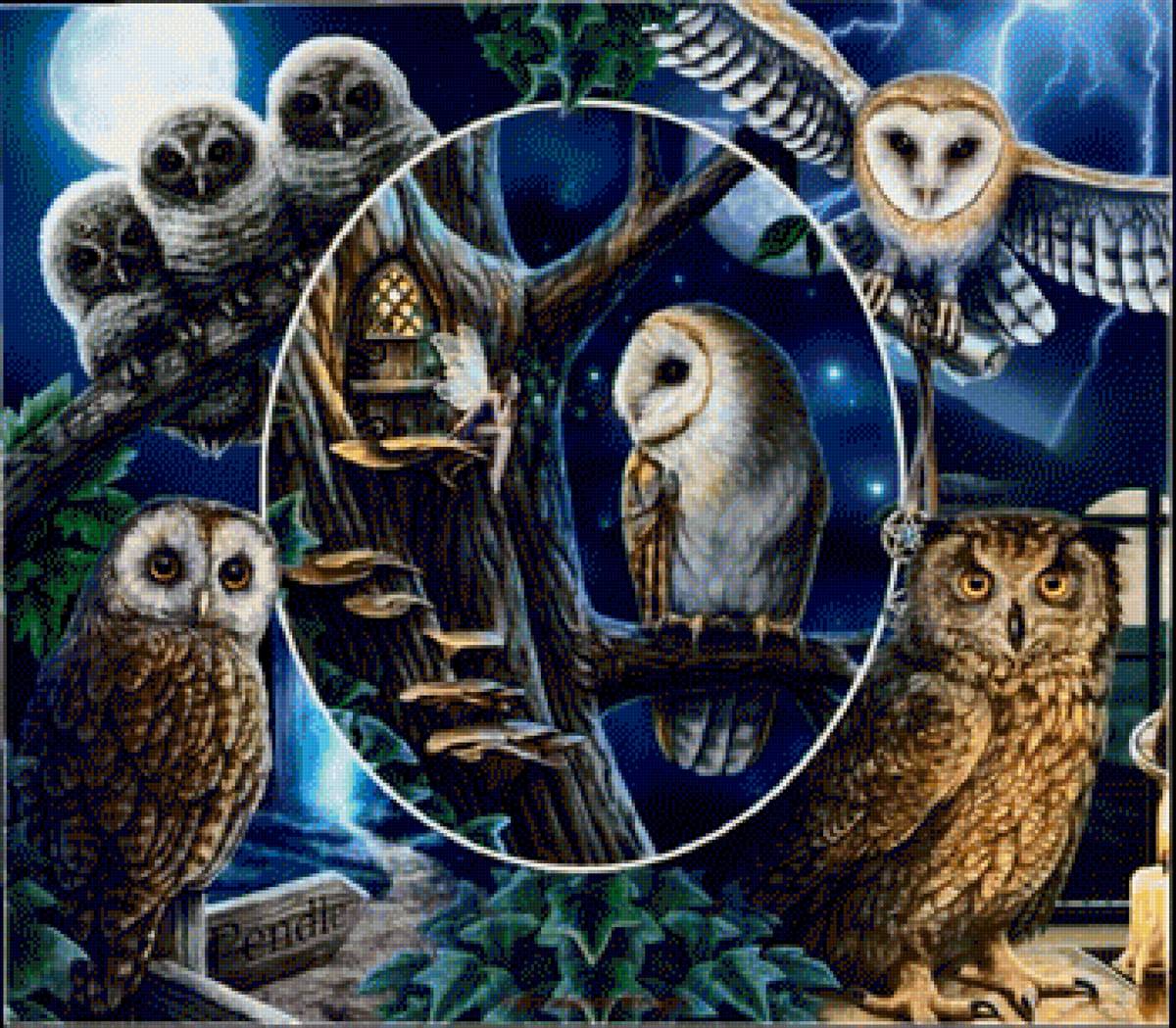 Совы - птицы - предпросмотр