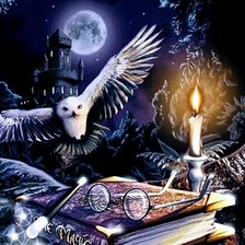 Схема вышивки «Сова»