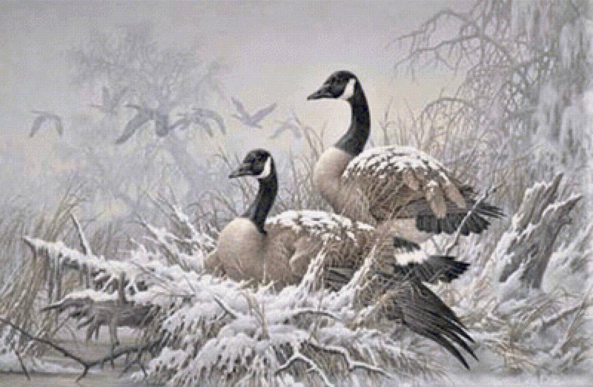 Geese 1 - предпросмотр