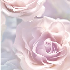 Схема вышивки «Нежность»