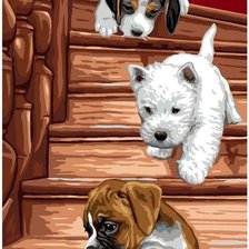 Схема вышивки «№2260651»