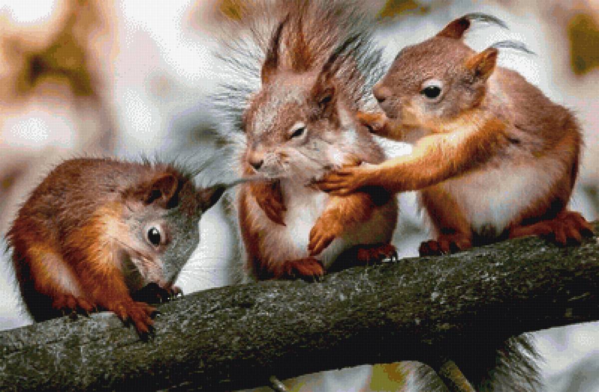 Три подружки - предпросмотр