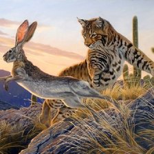 Схема вышивки «Animais selvagens.»