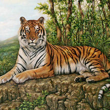 Схема вышивки «Тигр»