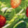Предпросмотр схемы вышивки «Земляника летом» (№2261361)