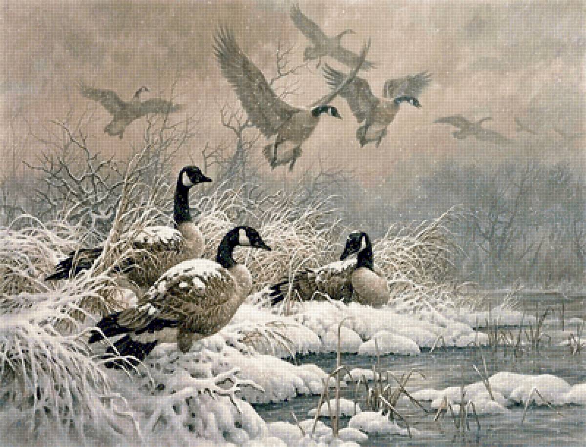 Geese 2 - предпросмотр