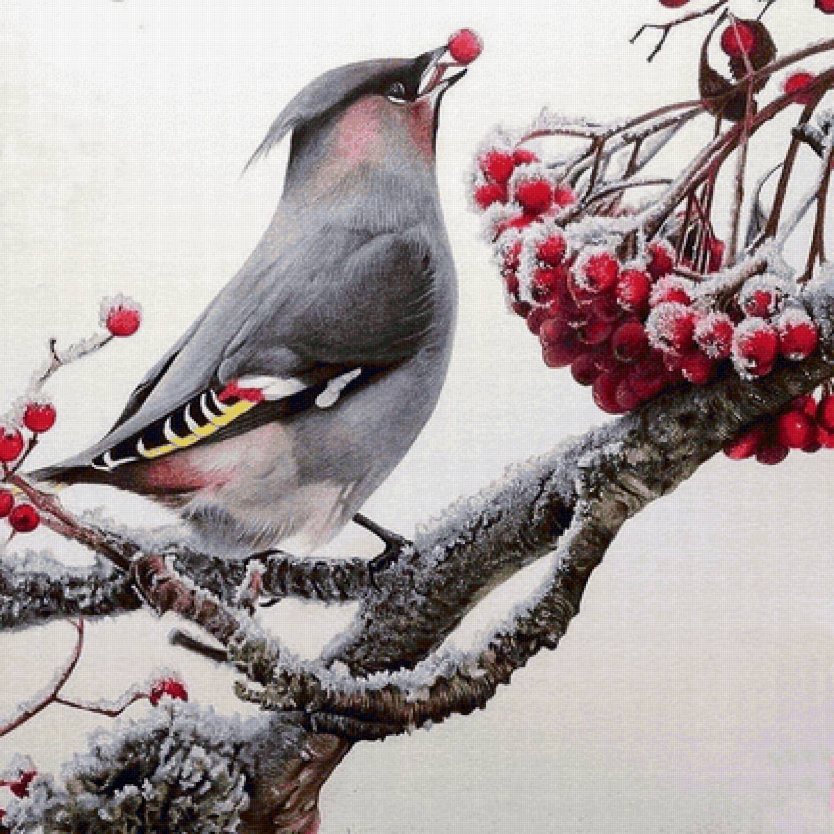 Птичка и рябина - предпросмотр