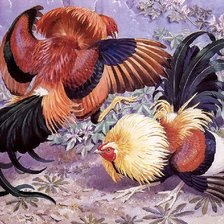 Схема вышивки «Galos.»