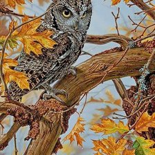 Схема вышивки «птицы»