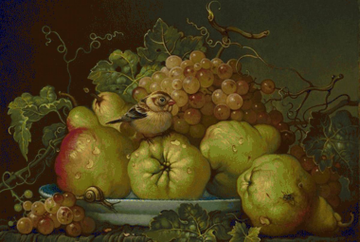 Frutas. - frutas., pássaro - предпросмотр