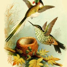 Схема вышивки «jugando»