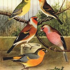 Схема вышивки «paisaje»