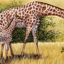 Схема вышивки «Girafas.»