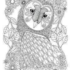 Схема вышивки «Сова»