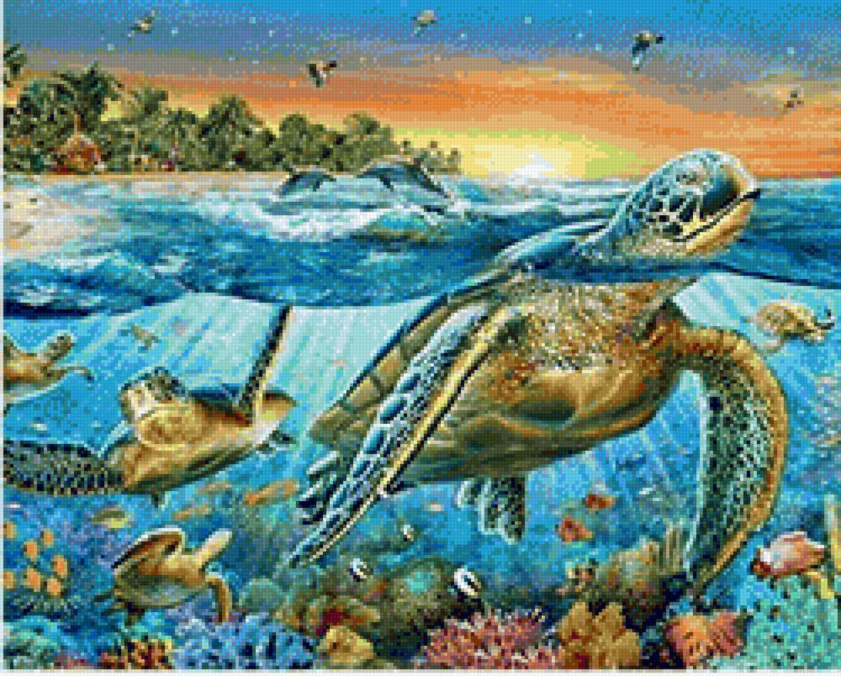 tortuga 2 - bodegón marino - предпросмотр