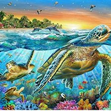 Схема вышивки «tortuga 2»