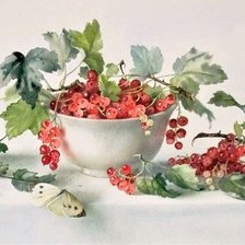 Схема вышивки «Currants»
