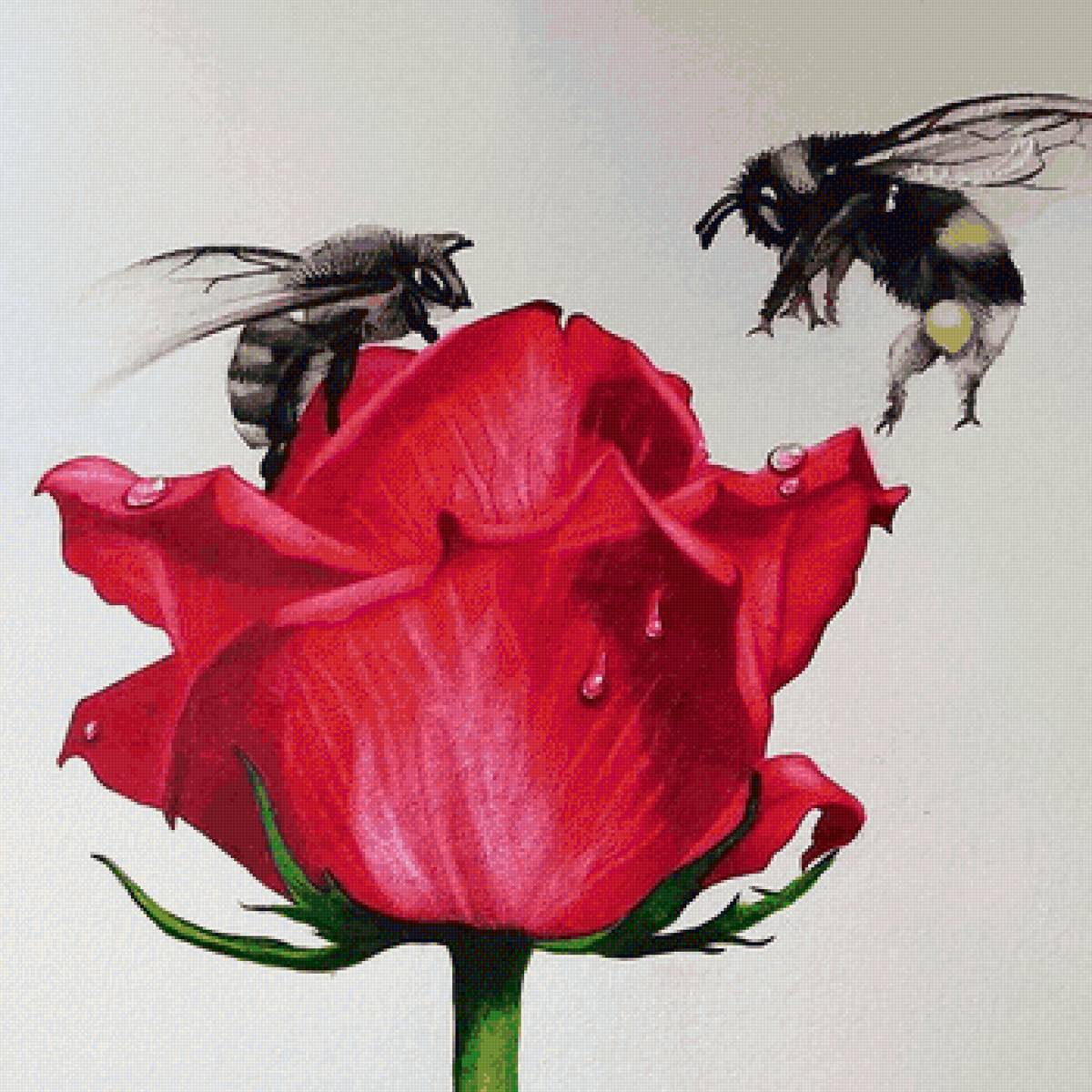 Роза и пчелки - предпросмотр