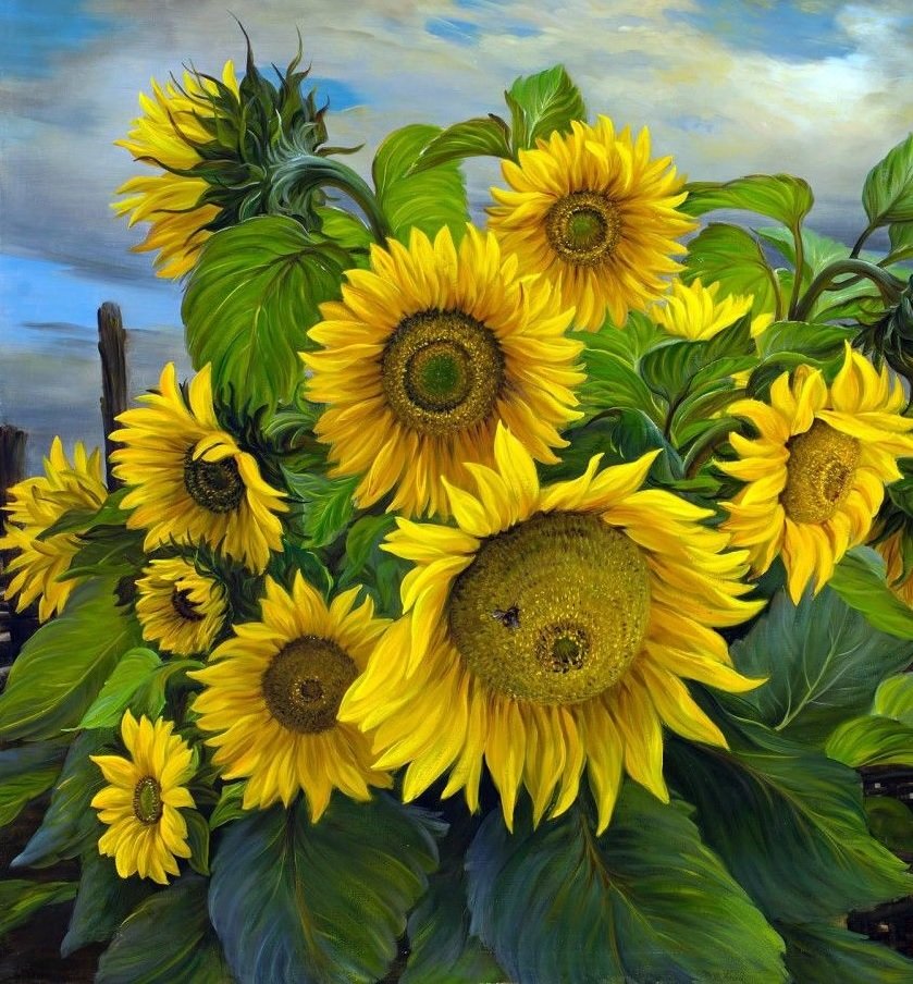 Girassóis - flores.natureza - оригинал