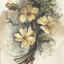 Схема вышивки «№2264455»