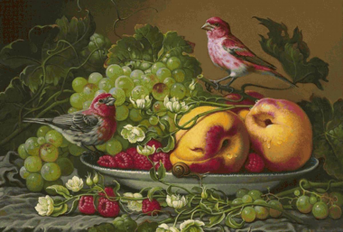 Frutas e pássaros. - pássaro, frutas. - предпросмотр
