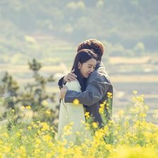 Схема вышивки «Algel's Last»