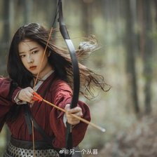 Схема вышивки «Леди»