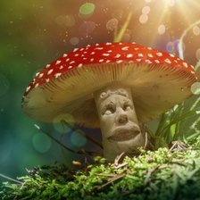 Схема вышивки «мухоморчик»