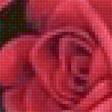 Предпросмотр схемы вышивки «rosas rojas» (№2264629)
