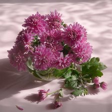 Схема вышивки «Хризантемы»