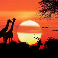 Схема вышивки «Африка»