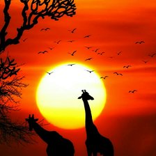 Схема вышивки «Африка»