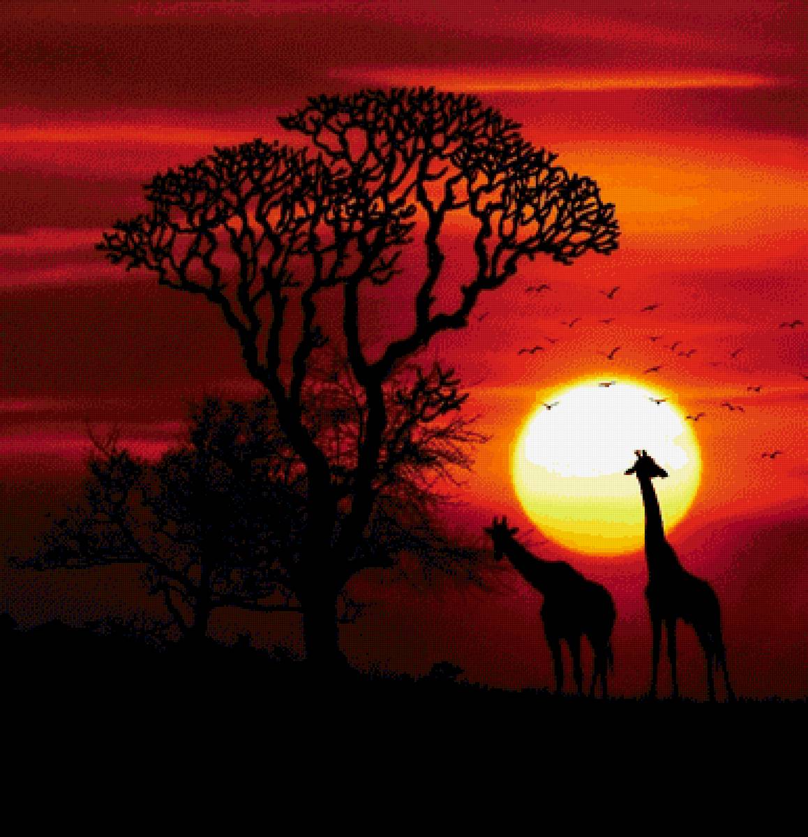 Африка - предпросмотр