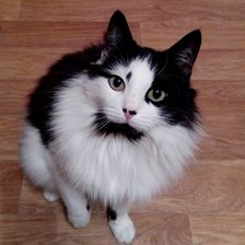 Схема вышивки «Ожидание»