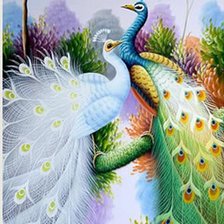 Схема вышивки «Павлины»