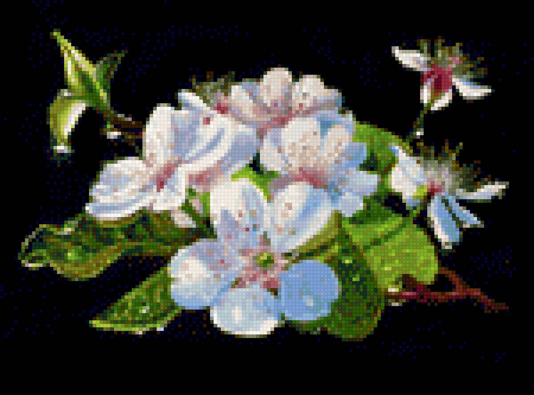 Веточка цветущей вишни - цветущая ветка, яблоня, букет, цветы, вишня - предпросмотр