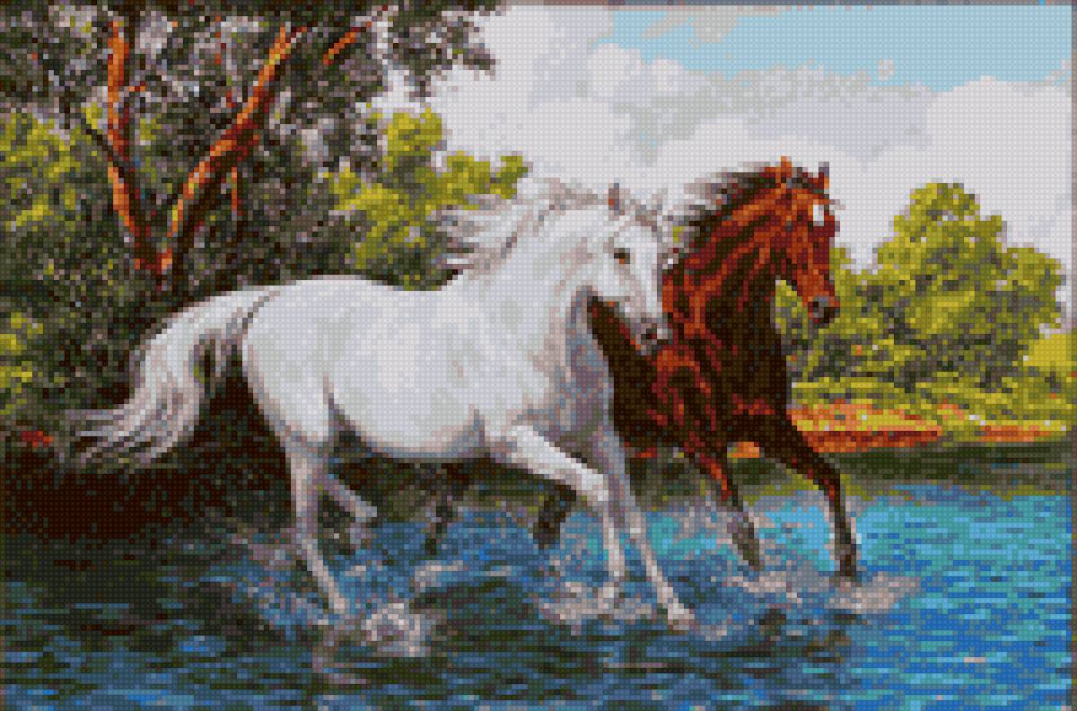 лошади пара - лошади - предпросмотр