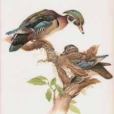 Схема вышивки «En pareja»