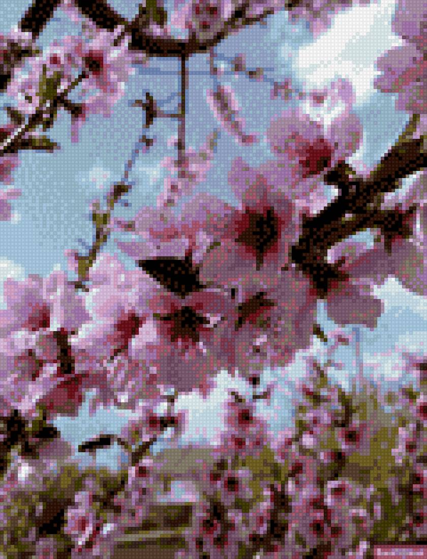 цветение - весна - предпросмотр