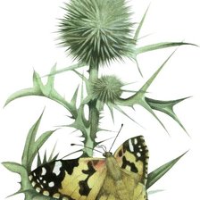 Схема вышивки «№2266635»